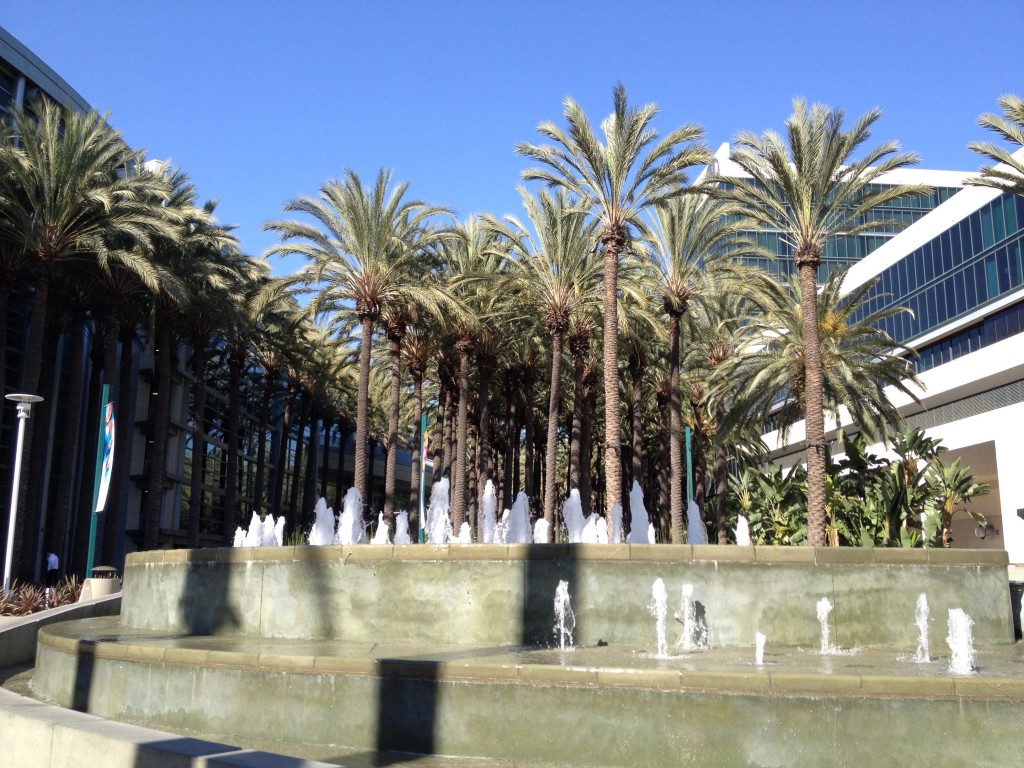 Anaheim palm trees